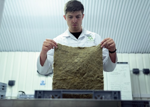 Projetos de Infraestrutura Sustentável